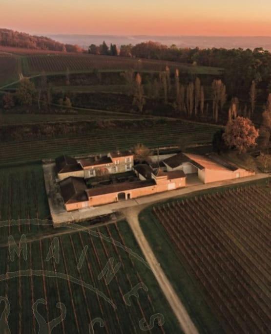 Chateau La Clariere Saint-Magne-de-Castillon Dış mekan fotoğraf
